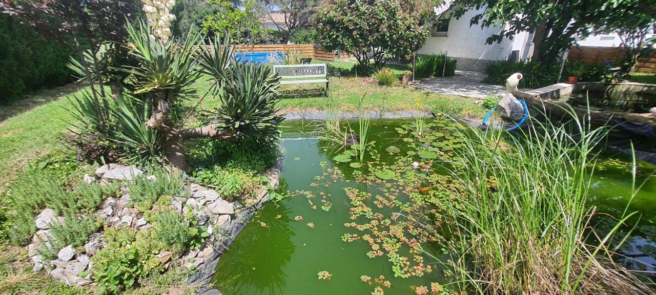 L'Echappee Belle Apartment Calmont  Ngoại thất bức ảnh
